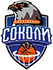 Логотип баскетбольного клуба Kharkivski Sokoly